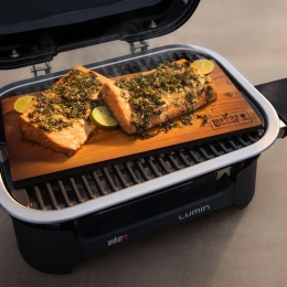 Электрический гриль Weber Lumin 2000 красный