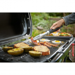 Портативный газовый гриль Weber Traveler 1501742
