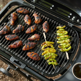 Портативний газовий гриль Weber Traveler Compact 1501747