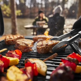 Портативний газовий гриль Weber Traveler Compact 1501747
