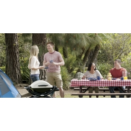 Портативный газовый гриль Weber Titan Q1000