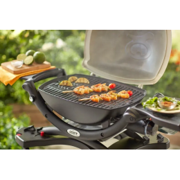 Решетка для Weber Q 100/1000