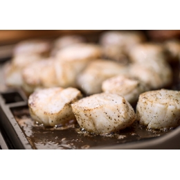 Піддон чавунний для Weber Summit 400/600